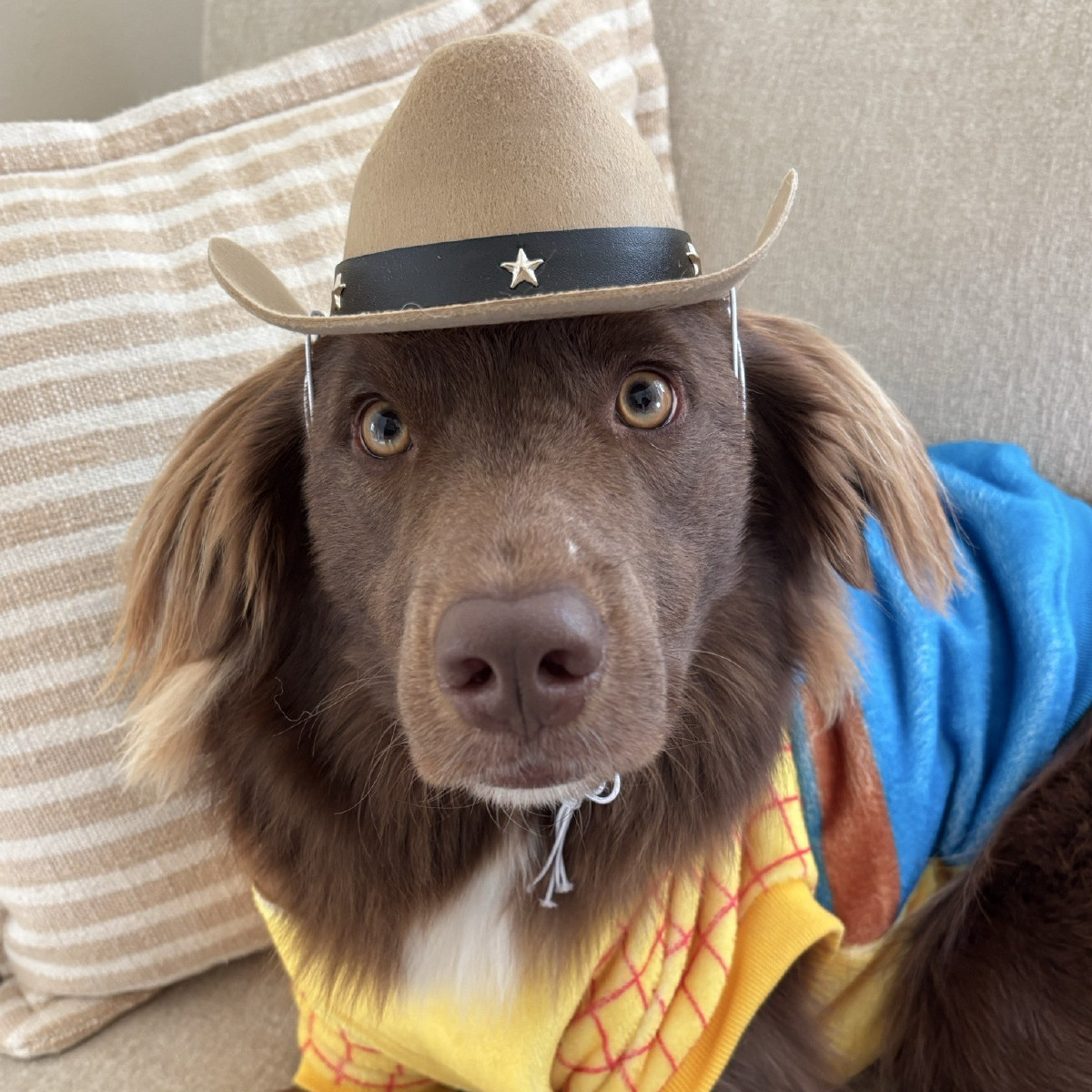 Winston