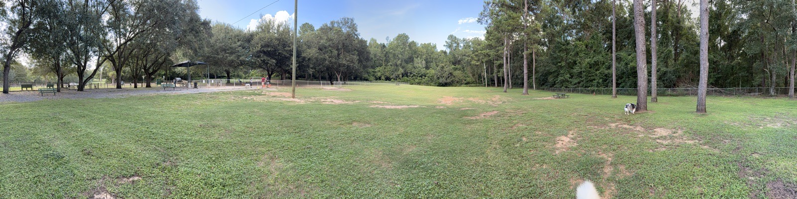 Tom Brown Dog Park