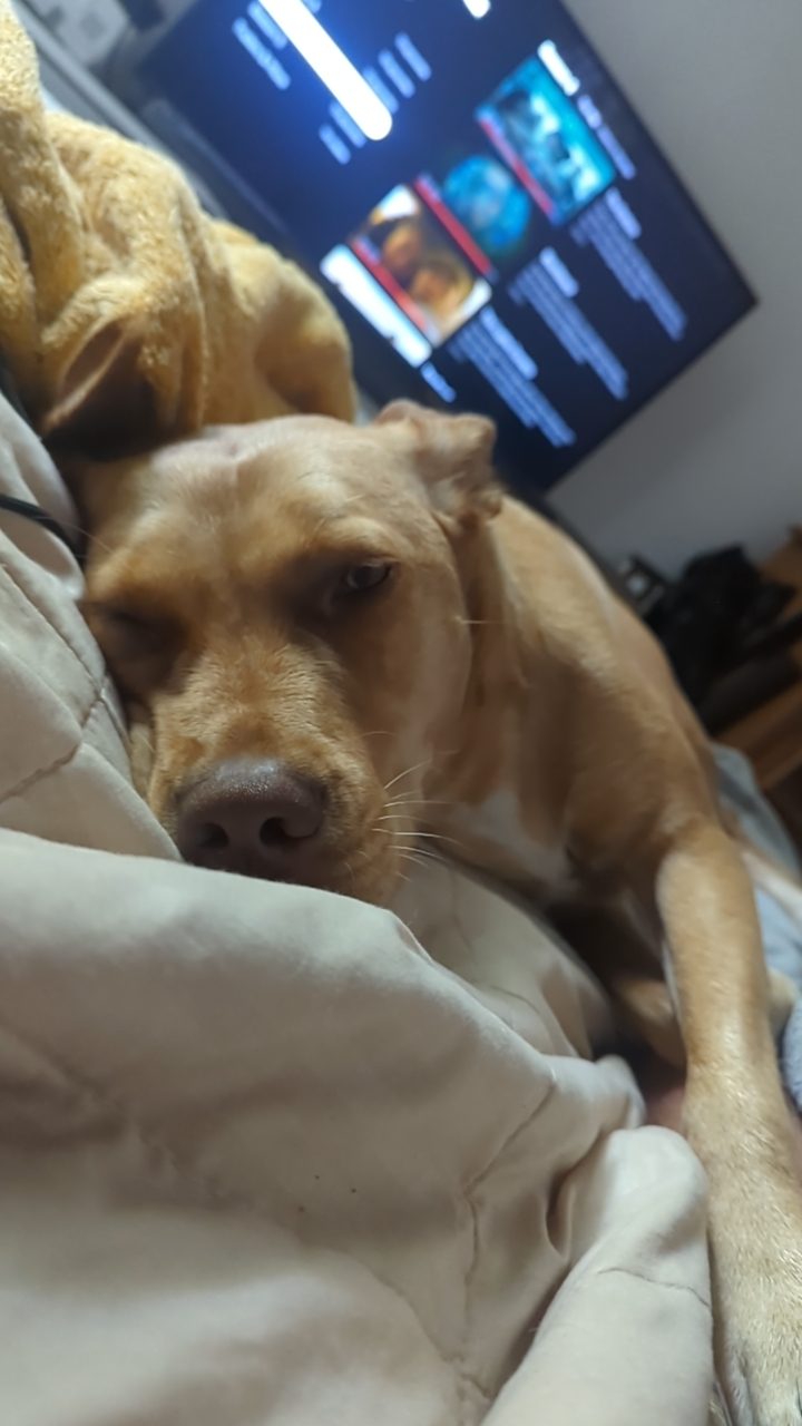 Goldie